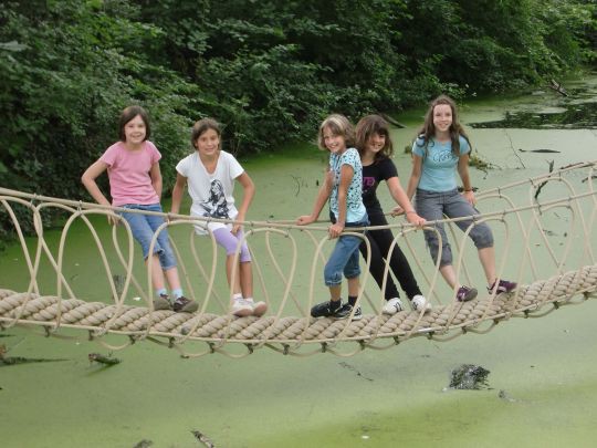 Bild vergrößern np_donau_auen_stationstext_c_mertin